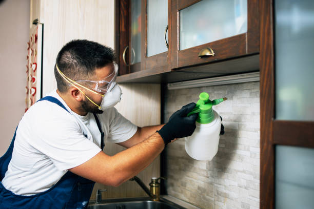 Best Affordable Pest Control Services  in Waynesboro, GA