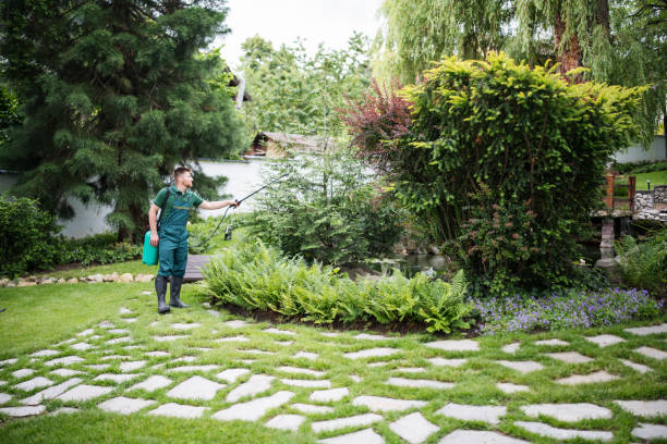 Best Pest Control Treatment  in Waynesboro, GA