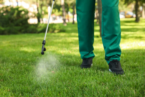 Best Mosquito Control Services  in Waynesboro, GA