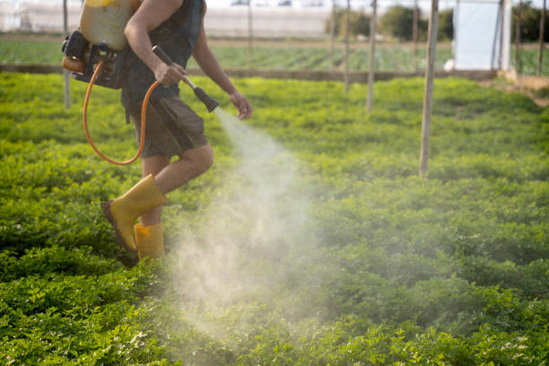 Best Pest Prevention Services  in Waynesboro, GA