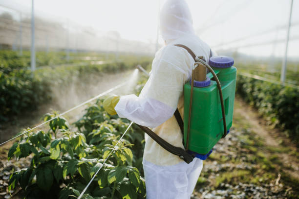 Best Flea Control Services  in Waynesboro, GA